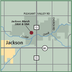 Jackson Marsh State Wildlife Area and State Natural Area map